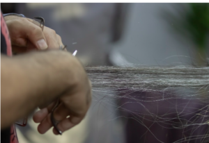 Hands cutting the ends of long, gray hair.